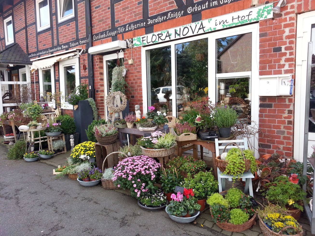 FloraNova – Blumenfachgeschäft in Braunschweig | Wir über uns ...